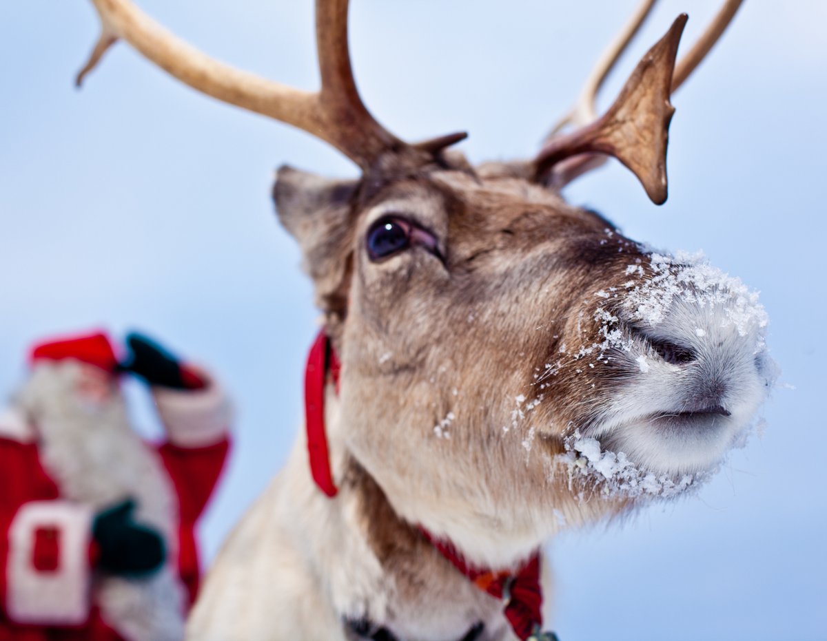 Looking for the perfect place to tell your Christmas story? How about the home of Santa Claus himself?

📸 Lapland Material Bank | Visit Rovaniemi

#MerryChristmas #ChristmasFilm #AChristmasStory #SantaClaus #FilmProduction #FilmLocation #ArcticFilming #LaplandFinland