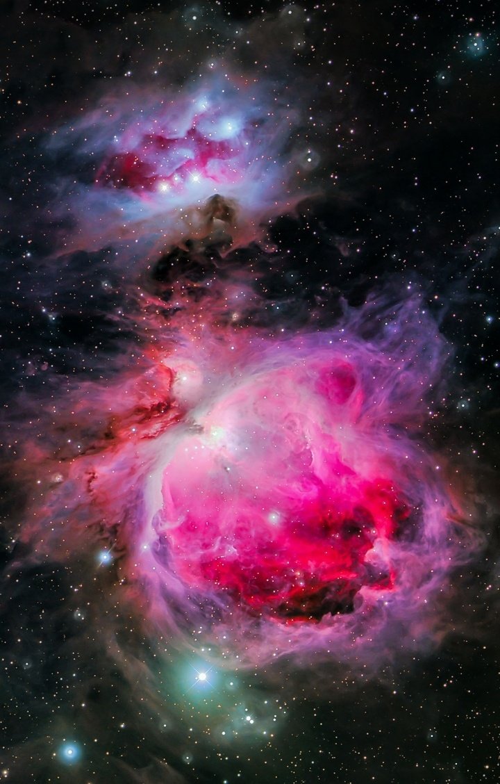 maiz_julio's tweet image. M42 Great Orión Nebula by Alistair Scooby.
