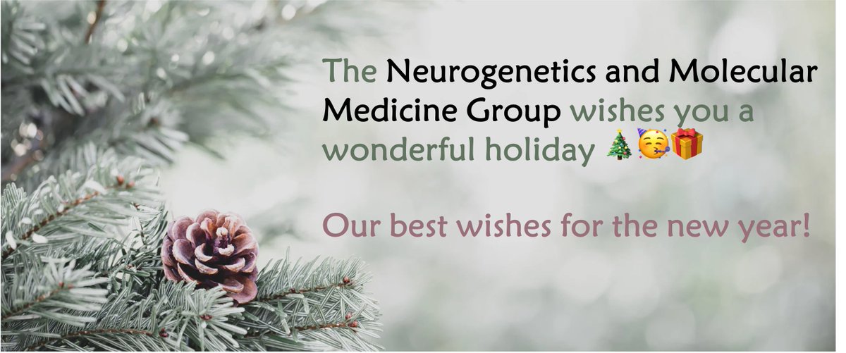 Desde el Laboratorio de Neurogenética y Medicina Molecular del @IRSJD_info os deseamos una feliz Navidad! Cerramos este año con mucha ilusión por seguir trabajando en 2024 🧬🔬🧫 ¡Feliz Navidad! 🎄Bon Nadal! 🎁 Merry Christmas! 🥂