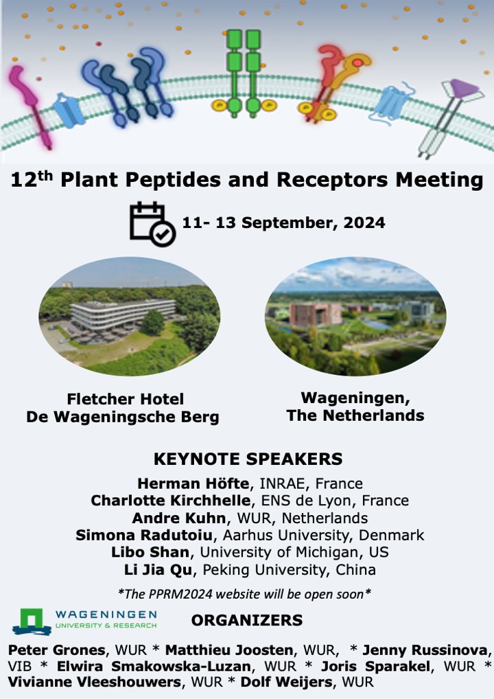Note the date: 11-13 September, 2024! The 12th Plant Peptides and Receptors Meeting will be held in Wageningen, the Netherlands! A fantastic line-up of keynote speakers and a vibrant organizing team! Make sure to be there :)