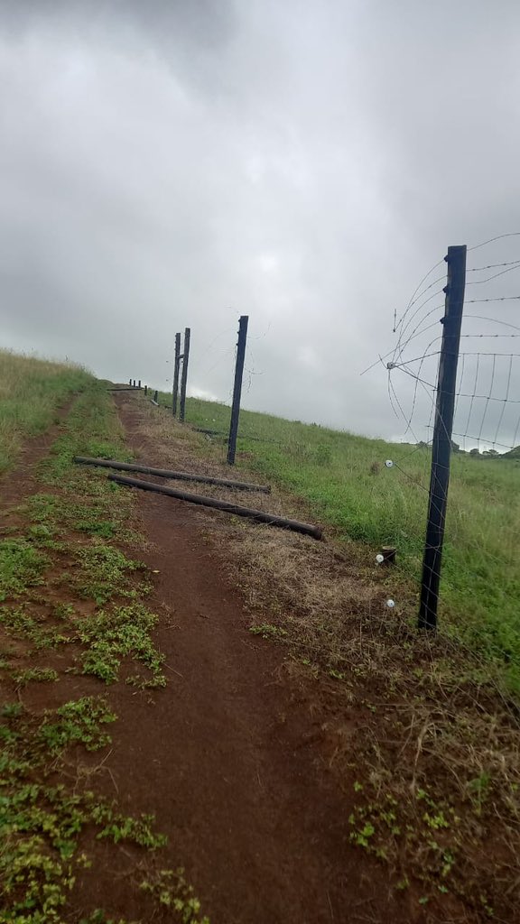 Today, 100m of fence was stolen from Makhamisa, Novunula, leaving our community vulnerable. We urge everyone to report any information to Ezemvelo officials. This has been reported to local authorities. #CommunitySafety #MakhamisaStrong