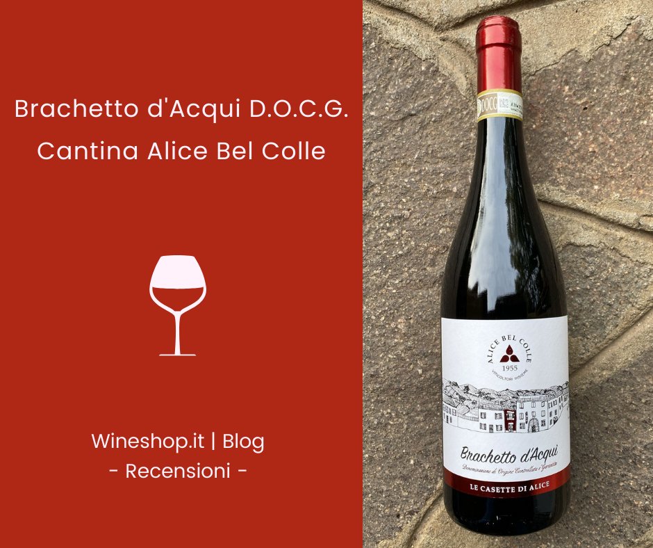 Il #BrachettodAcqui della Cantina Alice Bel Colle.
La recensione ➡️ shorturl.at/lqOPX
✍️ dal nostro Blog.