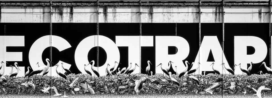 Marcin Tobółka (@marcintobolka) on Twitter photo 📷3 open #PhD positions on the effects of anthropogenic food on #whitestorks
Come work with us <a href="/marcintobolka/">Marcin Tobółka</a> @anflack <a href="/V_Marasco/">Valeria Marasco</a> to study survival & fitness <a href="/izpuls/">Department of Zoology</a> foraging & migration <a href="/MPI_animalbehav/">MPI-AB is on Bluesky @mpi-animalbehav.bsky.social</a> metabolic & physiological changes <a href="/VetmeduniVienna/">Vetmeduni</a>
s.gwdg.de/05F1Zp 📷3 open #PhD positions on the effects of anthropogenic food on #whitestorks
Come work with us <a href="/marcintobolka/">Marcin Tobółka</a> @anflack <a href="/V_Marasco/">Valeria Marasco</a> to study survival & fitness <a href="/izpuls/">Department of Zoology</a> foraging & migration <a href="/MPI_animalbehav/">MPI-AB is on Bluesky @mpi-animalbehav.bsky.social</a> metabolic & physiological changes <a href="/VetmeduniVienna/">Vetmeduni</a>
s.gwdg.de/05F1Zp