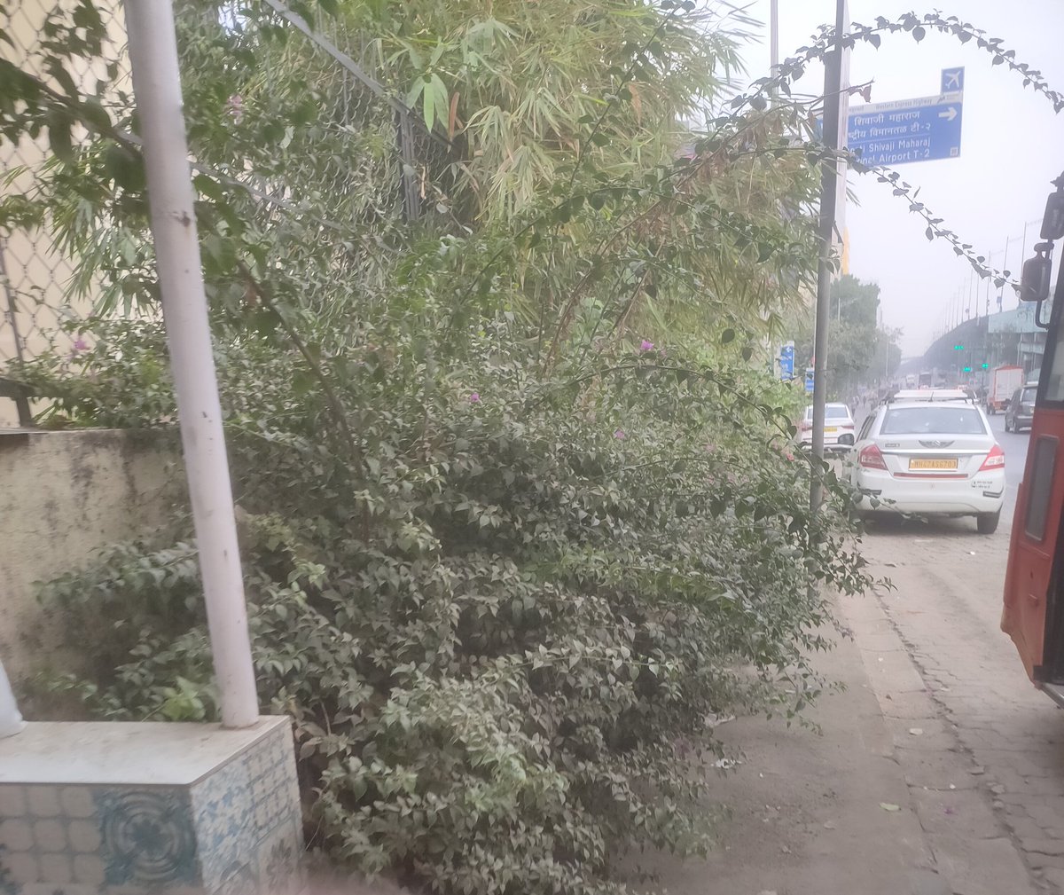 @mybmcWardKE @mybmc @mybmcWardKE 2.5 months since my earlier complaint. Bushes have only grown larger. No action. No place to walk. #FreeOurFootpaths @mashrujeet 
Loc: North bound arm of WEH, Vile Parle East