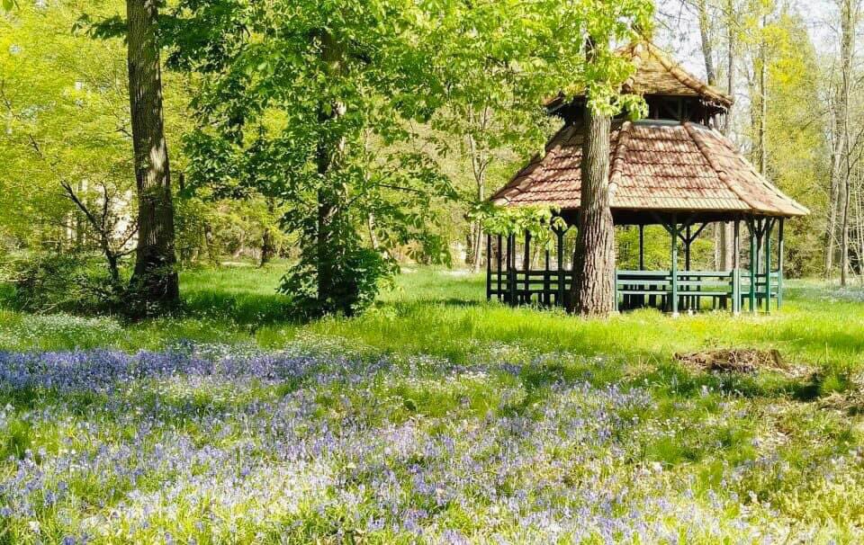 Merci à @bernstephane et au #LotoPatrimoine : les cinq kiosques en bois centenaires du parc du centre hospitalier de Bligny en #Essonne, bâtiments typiques de la Belle Époque, seront restaurés à hauteur de 75 000€ ! ➕100 000€ grâce au mécénat @AXAFrance. 👏💫@fond_patrimoine