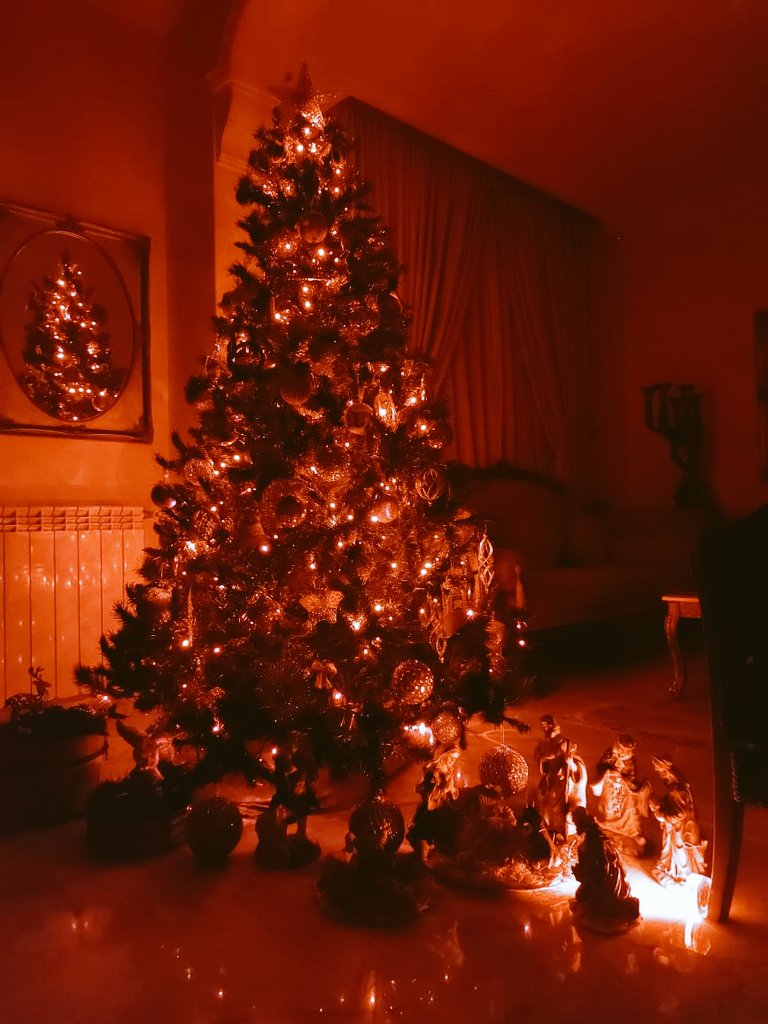 يسوع هو العيد ❤️
 المحبة والسلام لقلوبنا وبيوتنا كلنا 🎄🫶
#زمن_الميلاد 
#يسوع_هو_العيد