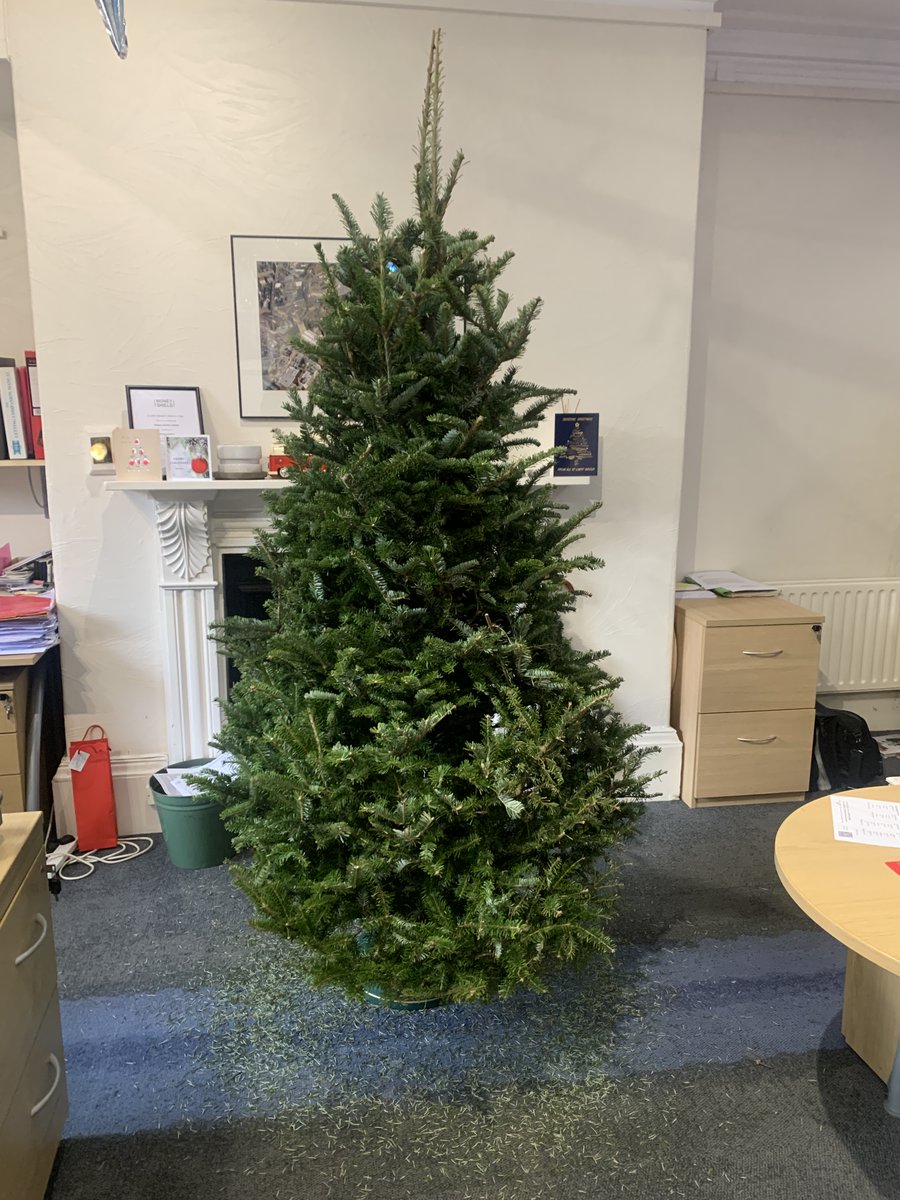CHRISTMAS TREE AVAILABLE TO COLLECT 
🙌 FREE OF CHARGE! 

Our office will be closing from 12:00pm today so collection would have to be before then and would be a shame for this tree not to end up in somebody's home for Christmas! 

📞 Call us on 01924 291500