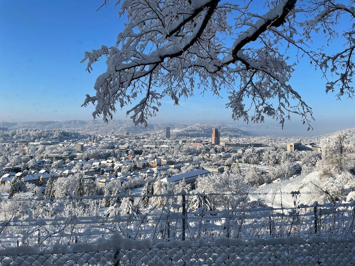 Die Schalter und Büros der Stadtverwaltung bleiben bis und mit Dienstag, 2. Januar 2024, geschlossen. Abweichende Öffnungszeiten sind online auf den Seiten der entsprechenden Dienststellen zu finden.

Wir wünschen frohe Festtage und einen guten Rutsch ins neue Jahr.
