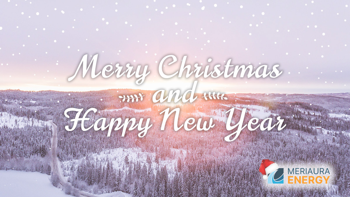 Merry Christmas and best wishes for a sunny and successful New Year 2024! ☀️