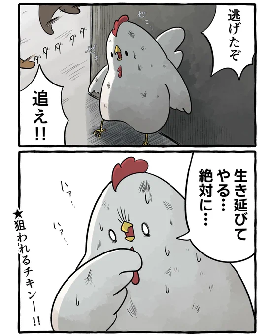 クリスマス時期のニワトリ漫画🎄 