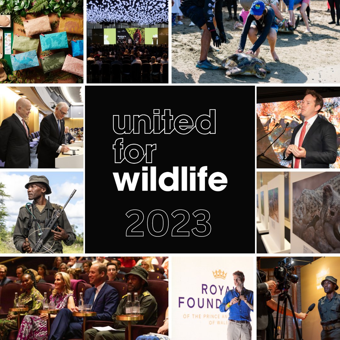 ✨2023 highlights✨ 🦏In the field with rangers 📽️@RHINOMANmovie screening 🇨🇴Latin America & Caribbean Chapter launched 🇸🇬Global Summit in Singapore 🌍Talking wildlife crime at @COP28_UAE And much more! Thanks for your support this year - here's to even more impact in 2024💪