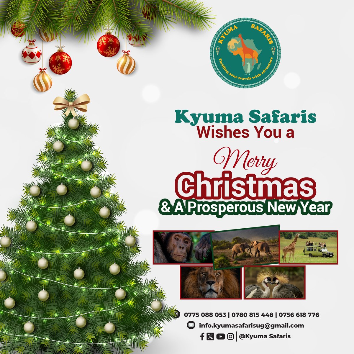 Plan your travel with us during this festival and next cause we know where to take always through the year
#MerryChrismas 
#HappyNewYear2024