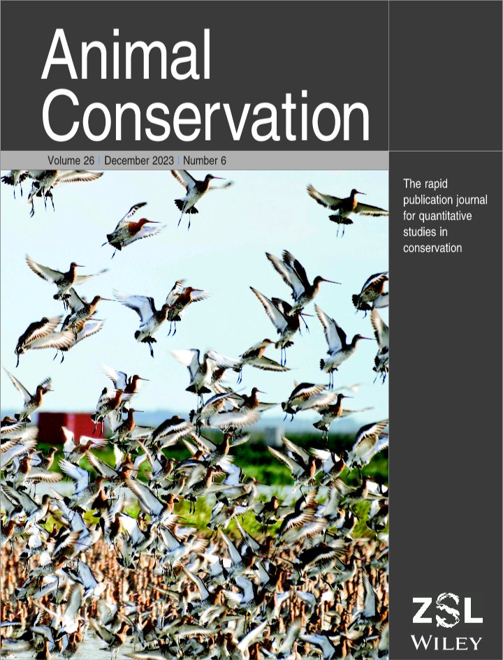 Delighted that our work using network analysis to evaluate environmental impacts on functionally-linked habitats has made the cover of @AnimalConserv! 😁 Beautiful photo of the Tagus and its flighty godwits by @VMendezAragon Check the full issue here …lpublications.onlinelibrary.wiley.com/toc/14691795/2…