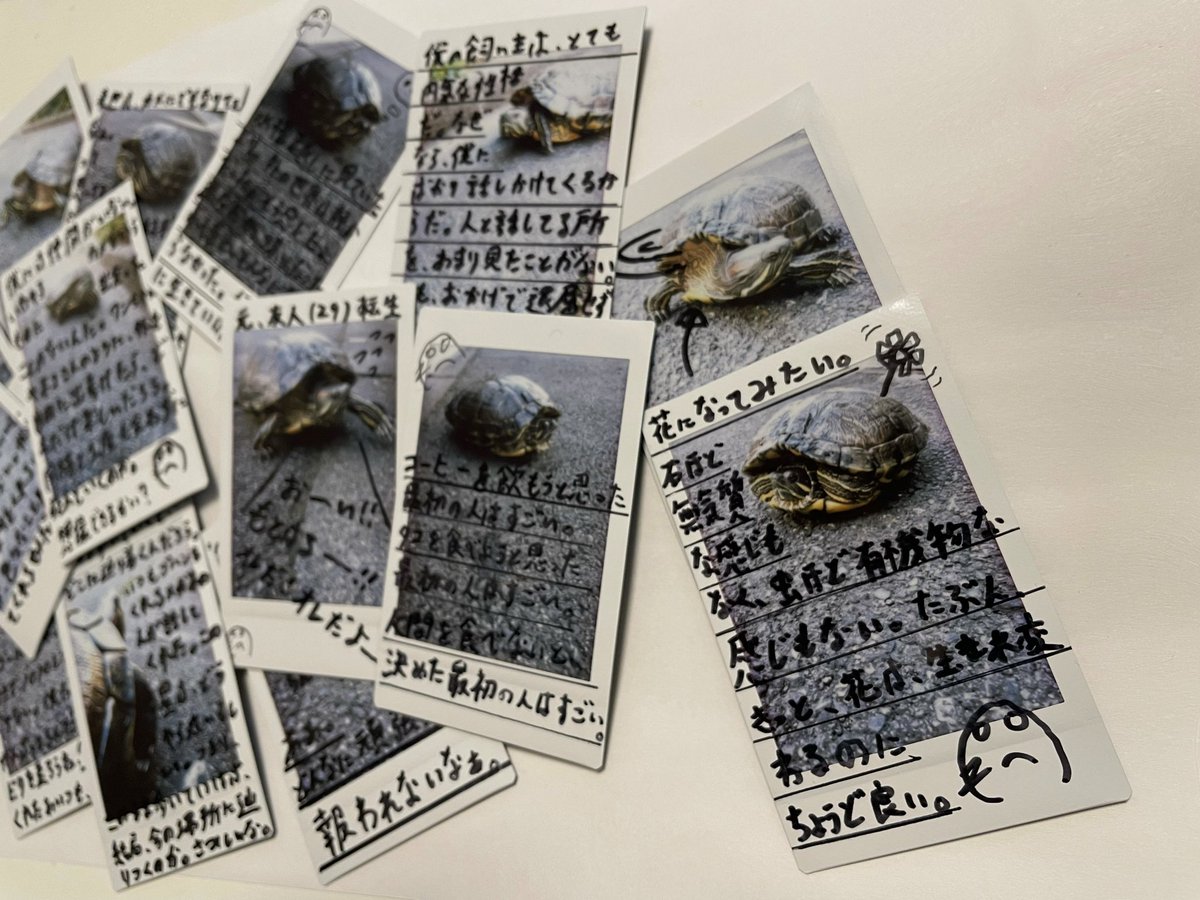 矢沢もとはる on X