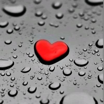 vibrant nightlife with elite list all-inclusive resort in Cancun