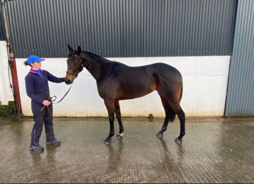NEW 🐴 ALERT

We have a new horse joining the club..

Apple A Dey,previously with Henry De Bromhead is set to become the next horse within the club..An unexposed 3yo bay filly by Dandy Man..Only ran 3 times,coming 3rd in a Tipperary maiden in August.. allweatherracing.co.uk/apple-a-dey
