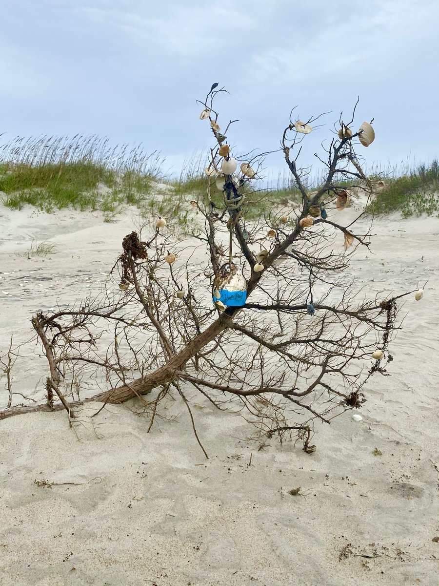 Late to the party for this week’s #Top4Theme- #Top4DecoratedTrees, but here they are!
Tagging hosts @intheolivegrov1 @obligatraveler @OdetteDunn 

Boston, MA
Toronto, ON
NYC (of course)
Ocracoke, NC