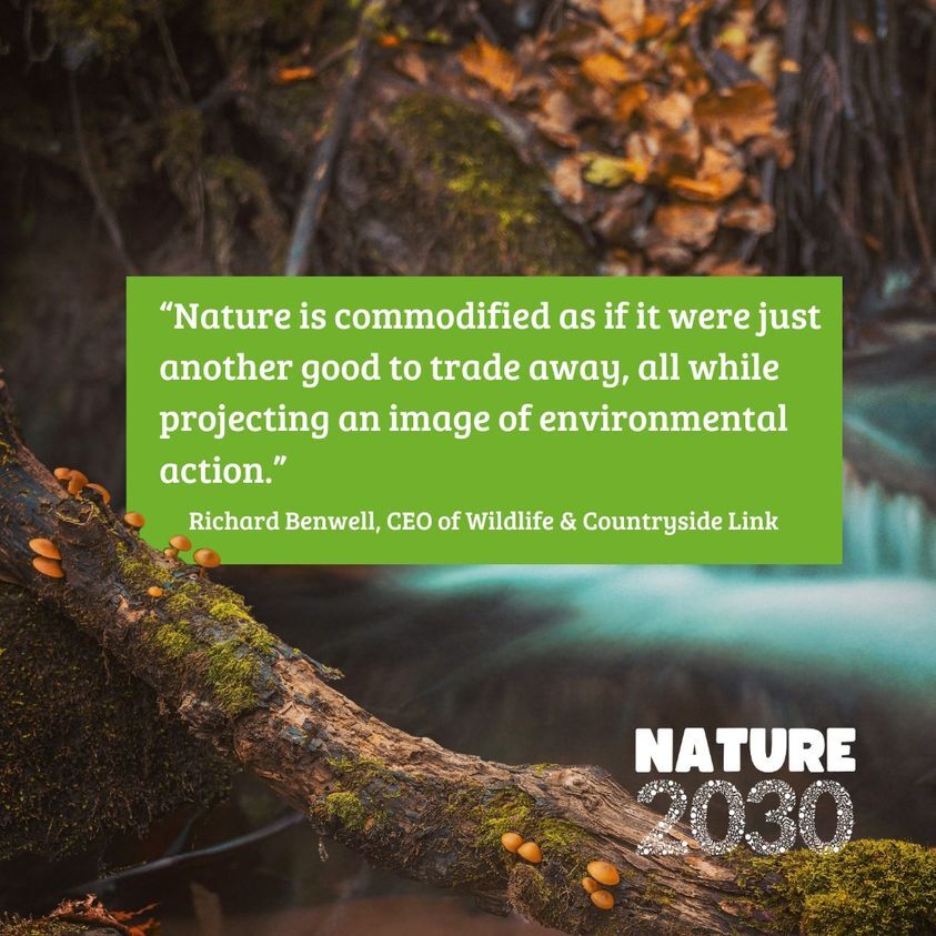 What could the future look like if politicians get behind big action for nature?  

From nature-friendly farming to making big businesses clean up pollution, find out for yourself by reading the #Nature2030 essays: wcl.org.uk/assets/uploads…

#nature #wildlife #countryside