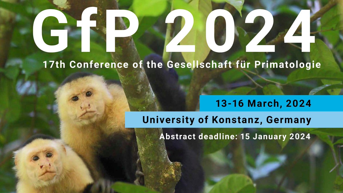 Gesellschaft für Primatologie e.V. (GfP) (@primatologie) on Twitter photo This holiday, the organizers of #GfP2024 in #Konstanz are giving the gift of primatology 🎁🎄🐒
The Early Bird discount has been extended to Jan 15 🥳
A very happy holiday to those who celebrate.
⏰Register⏩ uni-konstanz.de/gfp-2024/ <a href="/MPI_animalbehav/">MPI-AB is on Bluesky @mpi-animalbehav.bsky.social</a> <a href="/UniKonstanz/">Universität Konstanz</a> <a href="/MegCrofoot/">Meg Crofoot</a> This holiday, the organizers of #GfP2024 in #Konstanz are giving the gift of primatology 🎁🎄🐒
The Early Bird discount has been extended to Jan 15 🥳
A very happy holiday to those who celebrate.
⏰Register⏩ uni-konstanz.de/gfp-2024/ <a href="/MPI_animalbehav/">MPI-AB is on Bluesky @mpi-animalbehav.bsky.social</a> <a href="/UniKonstanz/">Universität Konstanz</a> <a href="/MegCrofoot/">Meg Crofoot</a>