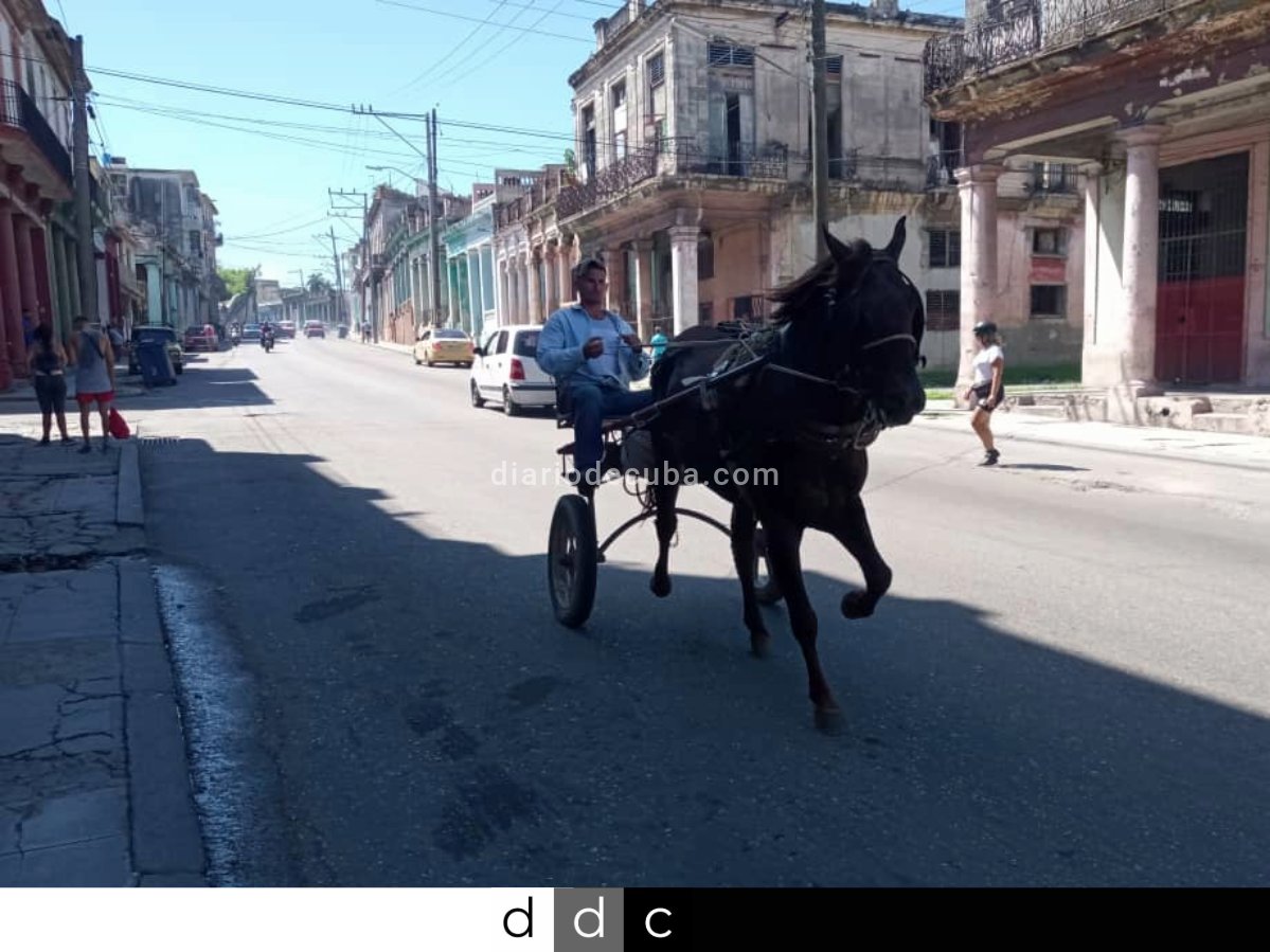 diariodecuba's tweet photo. FOTOS DE #CUBA: A caballo por #LaHabana.

#BuenosDías, a pesar de la dictadura.

Te esperamos en #DiarioDeCuba: https://t.co/WP8DF9YzKJ

📸: DDC https://t.co/QGGWL8pfvH