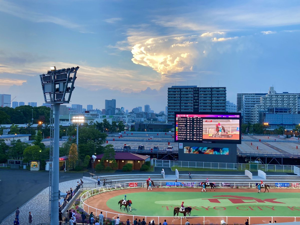 【あと4日！】
当日イベント情報第四弾！
謎のハスラー×タケ小山×QPプロトークバトル❗️
競馬場初参戦の関雅史プロが浦東塾長&amp;タケ小山を相手に熱く語る⁉️
当日はトゥインクルレースを楽しみましょう‼️ #GOLF897 #GJTCK #タケ小山 #謎のハスラー