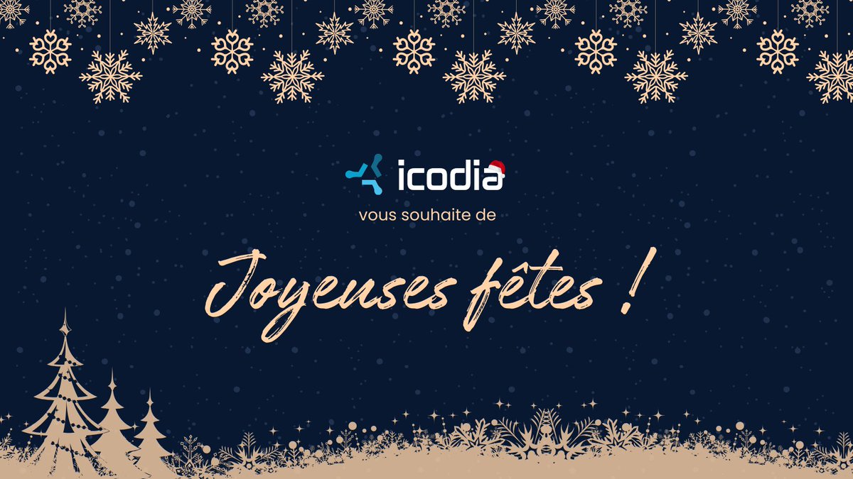 Parce que nous aimons partager avec vous autre chose que des bulletins de sécurité, toute l'équipe d'Icodia tient à vous souhaiter de très belles fêtes de fin d'année ! 🎄🎅