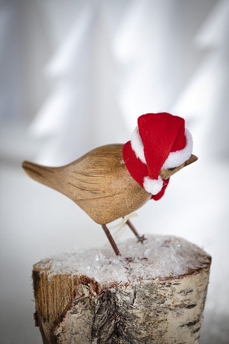 "Who is that sat in our bird box?! He doesn't have any wings, or feathers!"