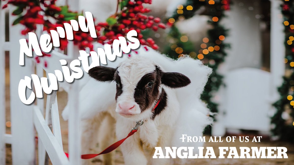 Merry Christmas from all of us at Anglia Farmer 🚜

We hope you have a lovely Christmas season and a Happy New Year! ✨

#farming #farminguk #BackBritishFarming