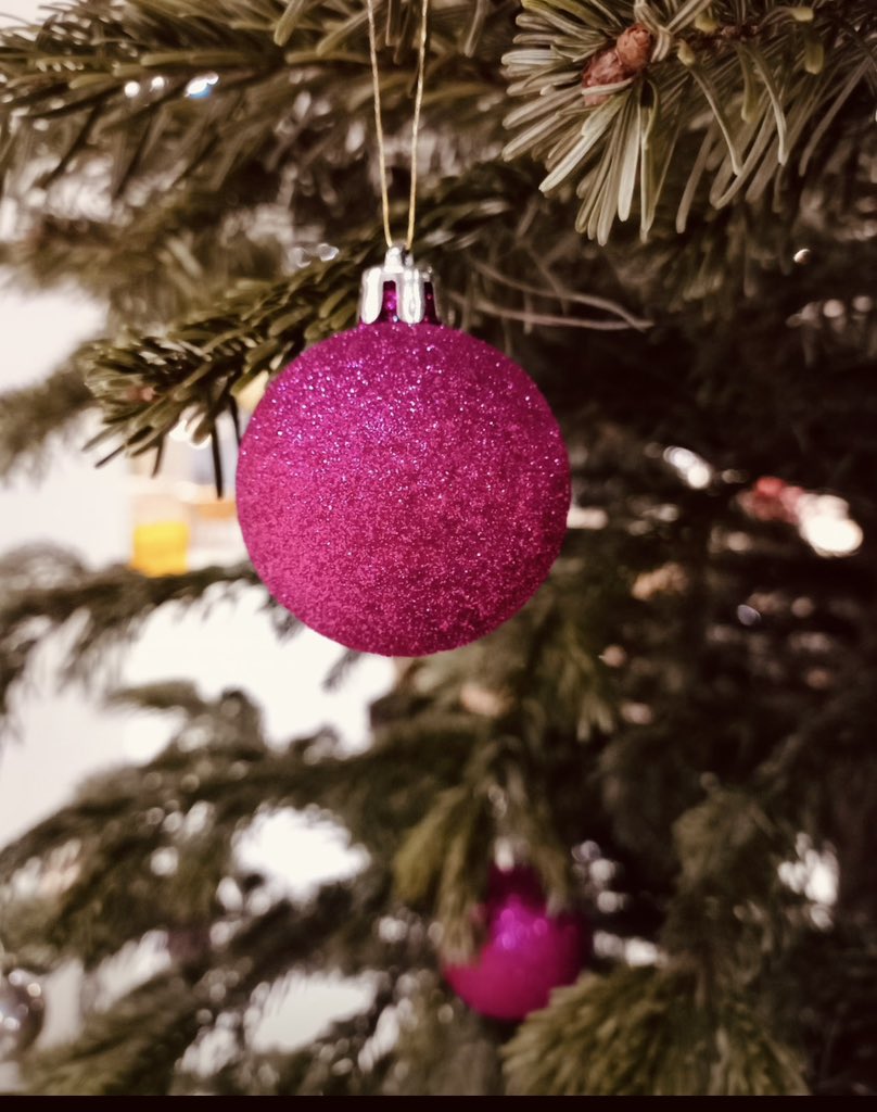 Der Weihnachts-Countdown läuft.🎄 Wir bedanken uns bei allen Beteiligten, die den DGP aktiv unterstützt und zum Erfolg geführt haben. Ihnen allen wünschen wir eine wundervolle Weihnachtszeit und freuen uns auf einen erfolgreichen Deutschen Gründerpreis 2024. ✨ #Weihnachten