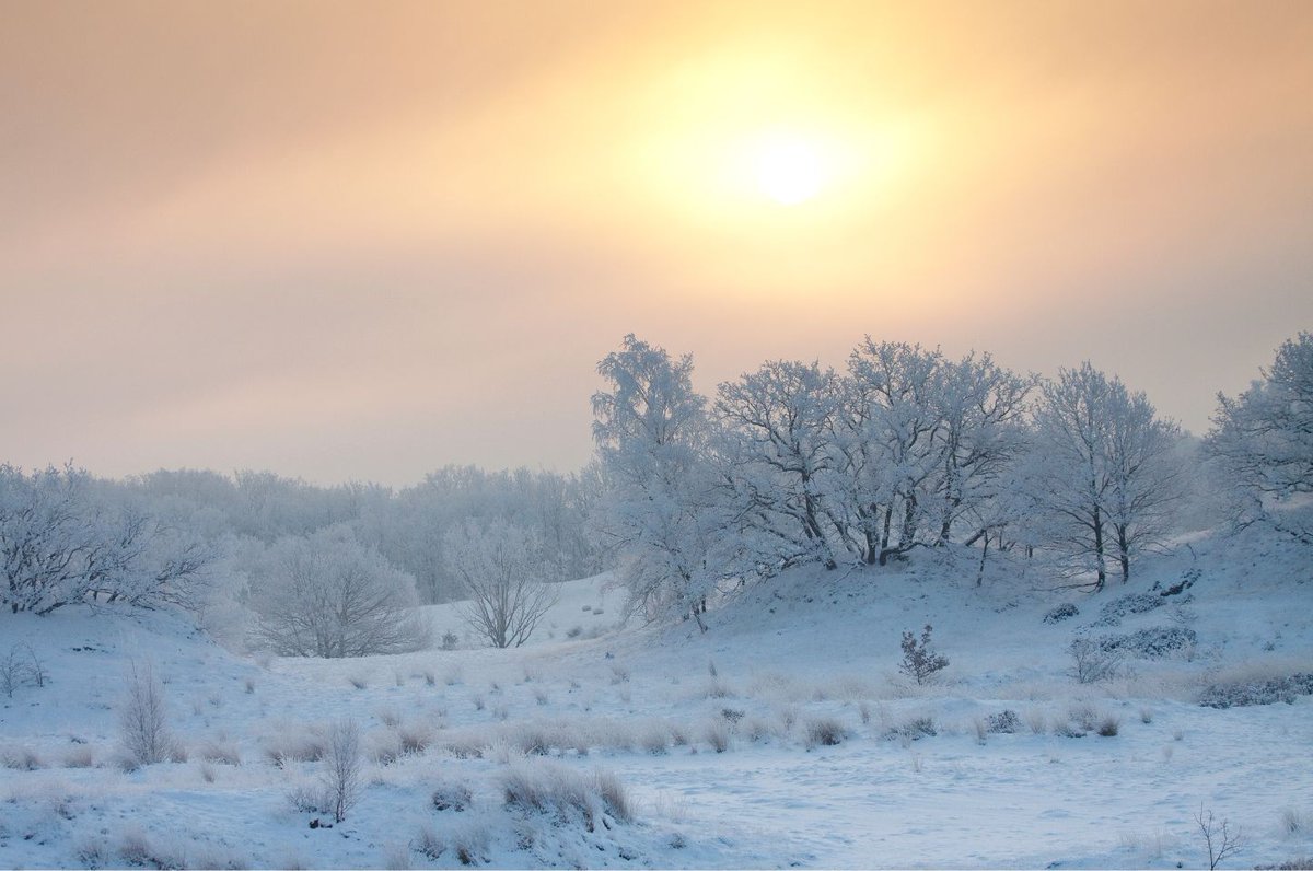 Extra date added for @AlexWilsonpiano's Twelfth Night concert! 5th January for the first of two musical journeys through winter - currently good availability, so be quick and book now buff.ly/48nTc5X <a href="/exeterchamber/">Exeter Chamber</a> <a href="/visitexeter/">Visit Exeter</a> @dexinstitution <a href="/ONEmagdevon/">One Magazine</a> @exeterlibrary
