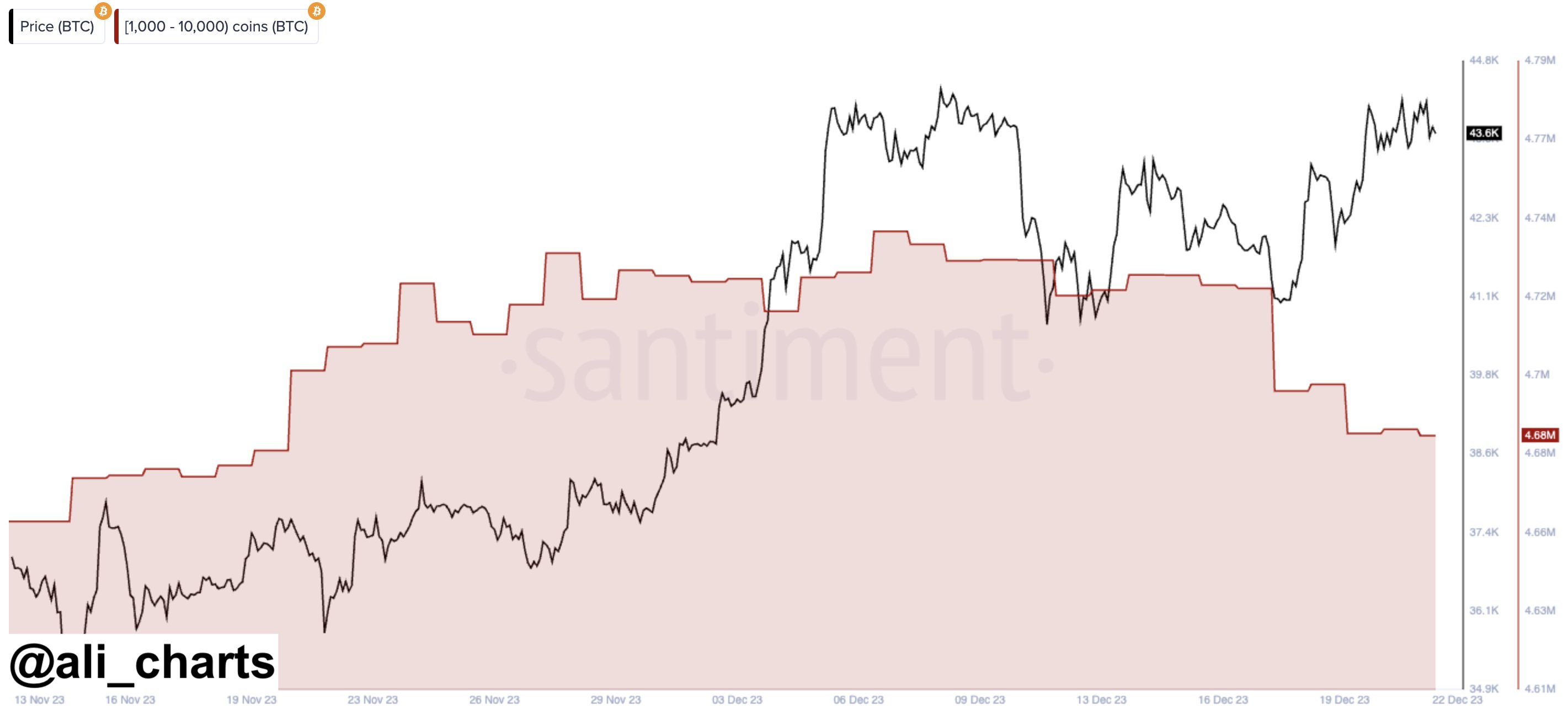 Bitcoin Whale Supply