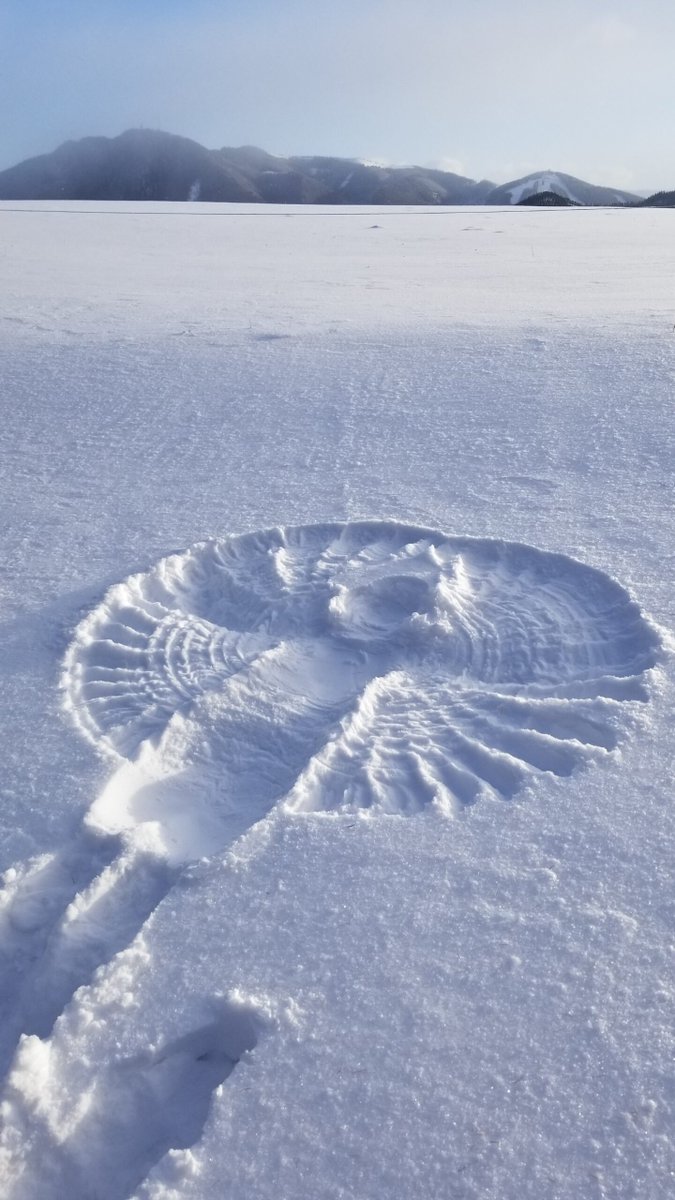 ❄️🎄✨ Frohe Weihnachten und erholsame Feiertage! ✨🎄❄️
Das ScienceCenter Netzwerk wünscht allen Partner:innen, Freund:innen, Fördergeber:innen und euch allen frohe Weihnachten und ein gutes neues Jahr😊Bis 2024!
#Weihnachtspause #FroheFeiertage #DIGIWerkstatt2024 #Wissensraum