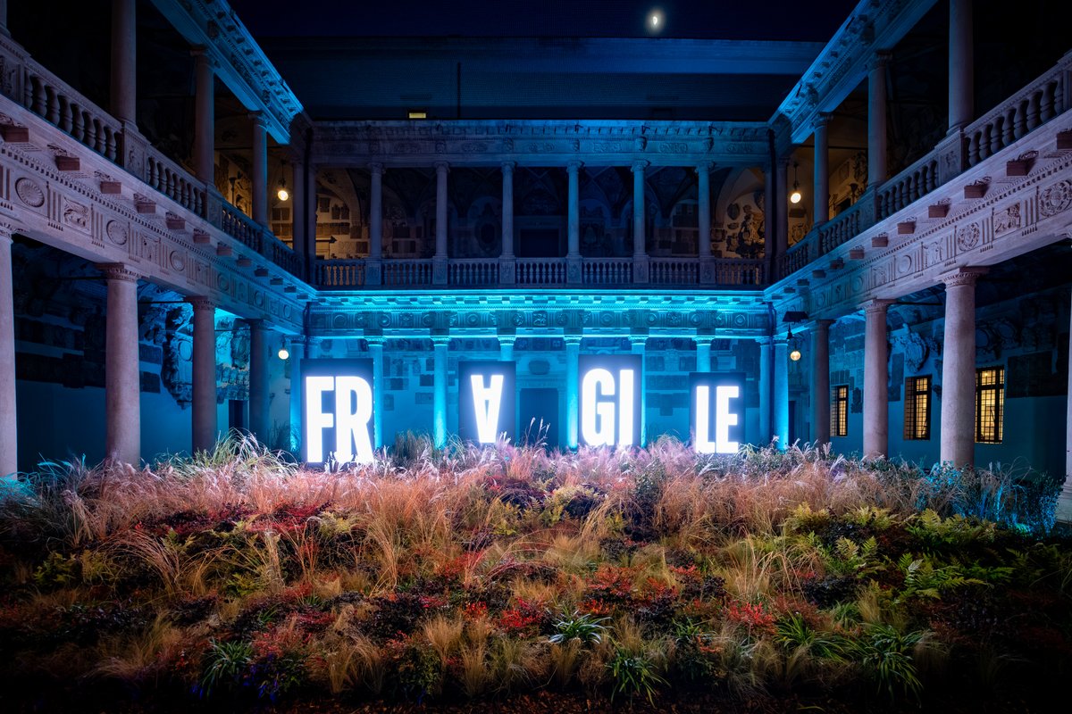 🌱 "Fragile"

La Natura si impossessa di Palazzo del Bo per offrire una riflessione sulla sua potenza generativa e la capacità dell’essere umano di comprenderla, plasmarla e replicarla.

In questa relazione chi è davvero l’elemento fragile?
&gt; unipd.link/fragile-instal…