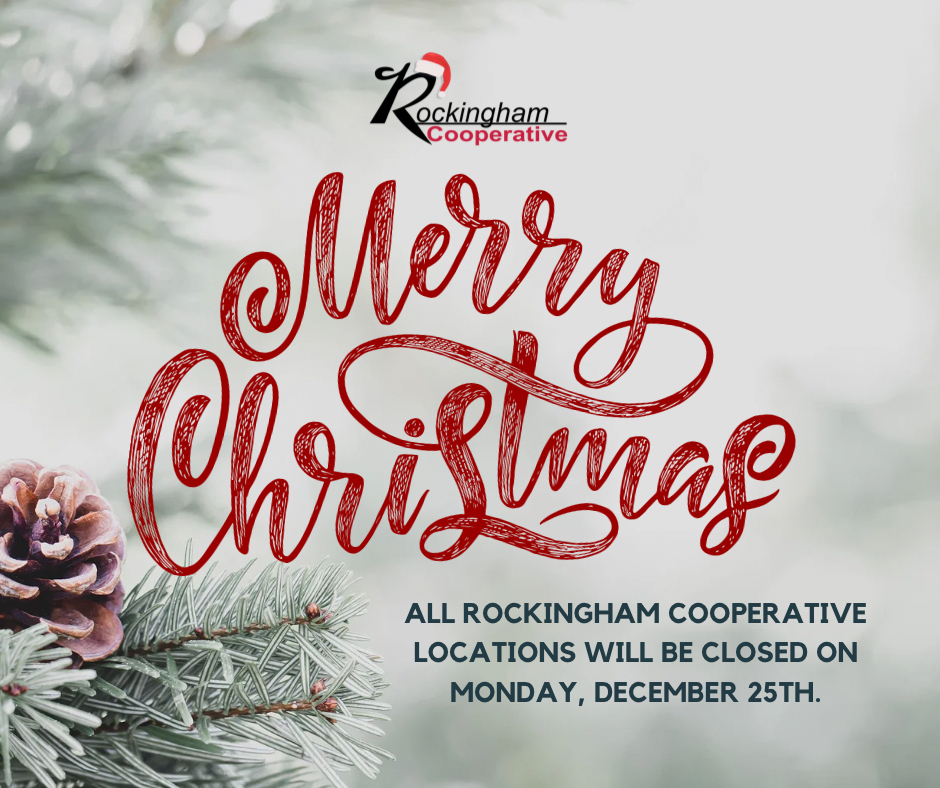RockinghamCoop's tweet image. Merry Christmas from Rockingham Cooperative!

Reminder that all locations will be CLOSED on Christmas Day to allow our employees to spend the day with their loved ones. 

All locations will re-open under normal hours on Tuesday, December 26th.