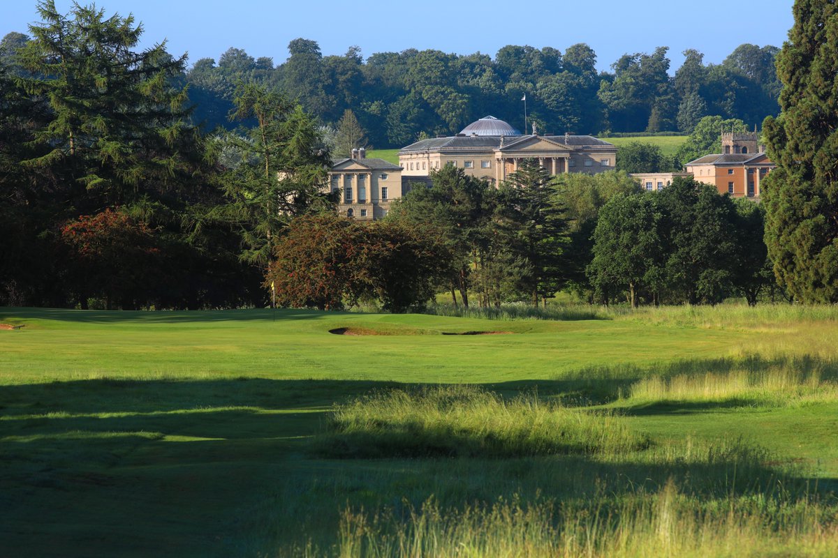 Pure Sports tweet media