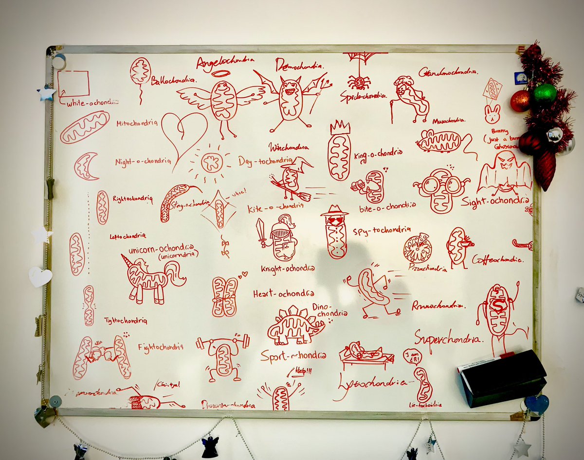 Big thanks to <a href="/mustloveDNA/">Benedict Tan</a> for paving the way! Now I’ve got a drawing for my Twitter header. Keeping your legacy alive, Ben 🎨 
#mitos #mitochodria #mitoart