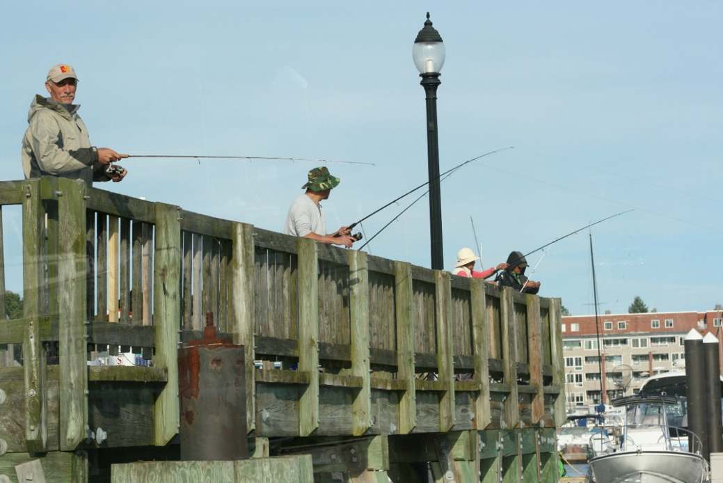 MA Division of Marine Fisheries (@massdmf) on Twitter photo We’re excited to announce that <a href="/MyBeverly01915/">City of Beverly (MA)</a> and <a href="/thetrustees/">The Trustees</a> were each awarded $25K to enhance recreational saltwater fishing opportunities in Beverly and Martha’s Vineyard coastal waters. Learn more about these public access improvement projects: mass.gov/news/healey-dr… We’re excited to announce that <a href="/MyBeverly01915/">City of Beverly (MA)</a> and <a href="/thetrustees/">The Trustees</a> were each awarded $25K to enhance recreational saltwater fishing opportunities in Beverly and Martha’s Vineyard coastal waters. Learn more about these public access improvement projects: mass.gov/news/healey-dr…
