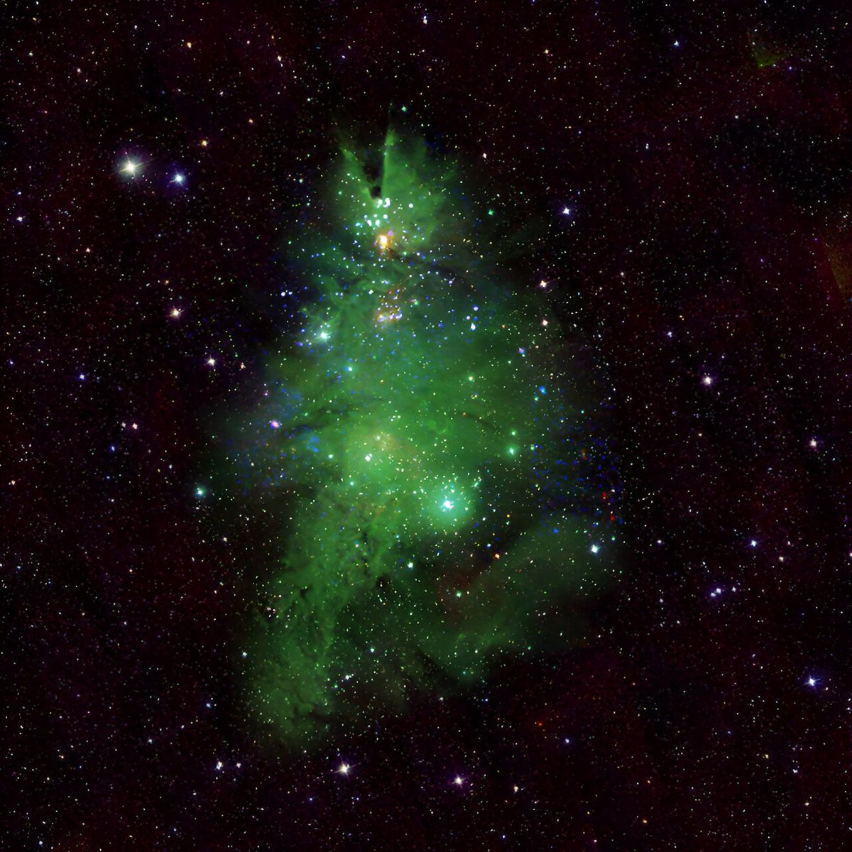 El equipo de MasScience os desea Felices Fiestas y Prospero Año 2024
Cluster, conocido como NGC 2264, se encuentra en nuestra galaxia, la Vía Láctea, a unos 2.500 años luz de la Tierra. [📷 Observatorio Chandra Xray de la NASA]
#BlogMasScience