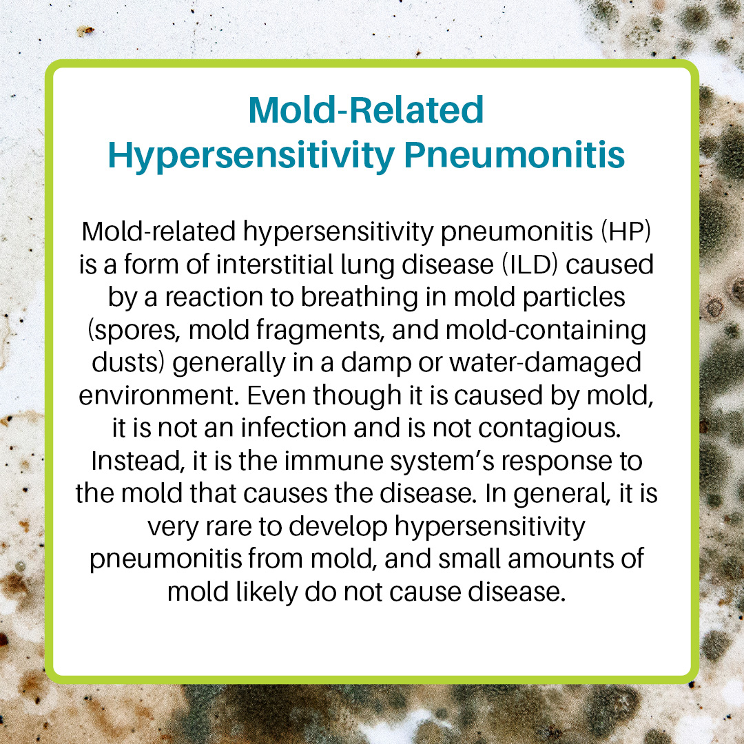 💡 Fact Friday: Today's fact is about mold and PF. You can read the full fact sheet on this at bit.ly/pff-factsheets