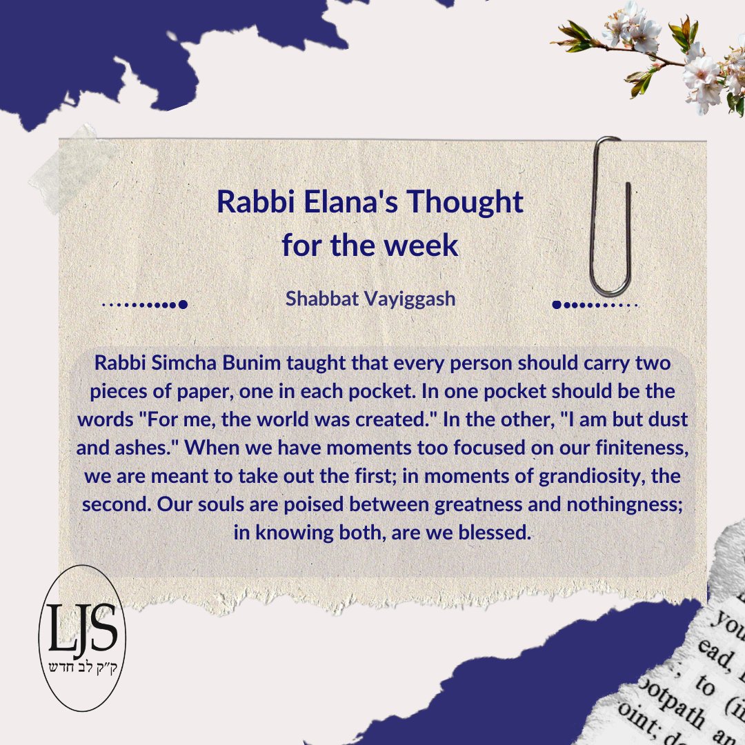 Rabbi Elana shares her Thought for the Week #LJSTFTW. Like this post if you do!