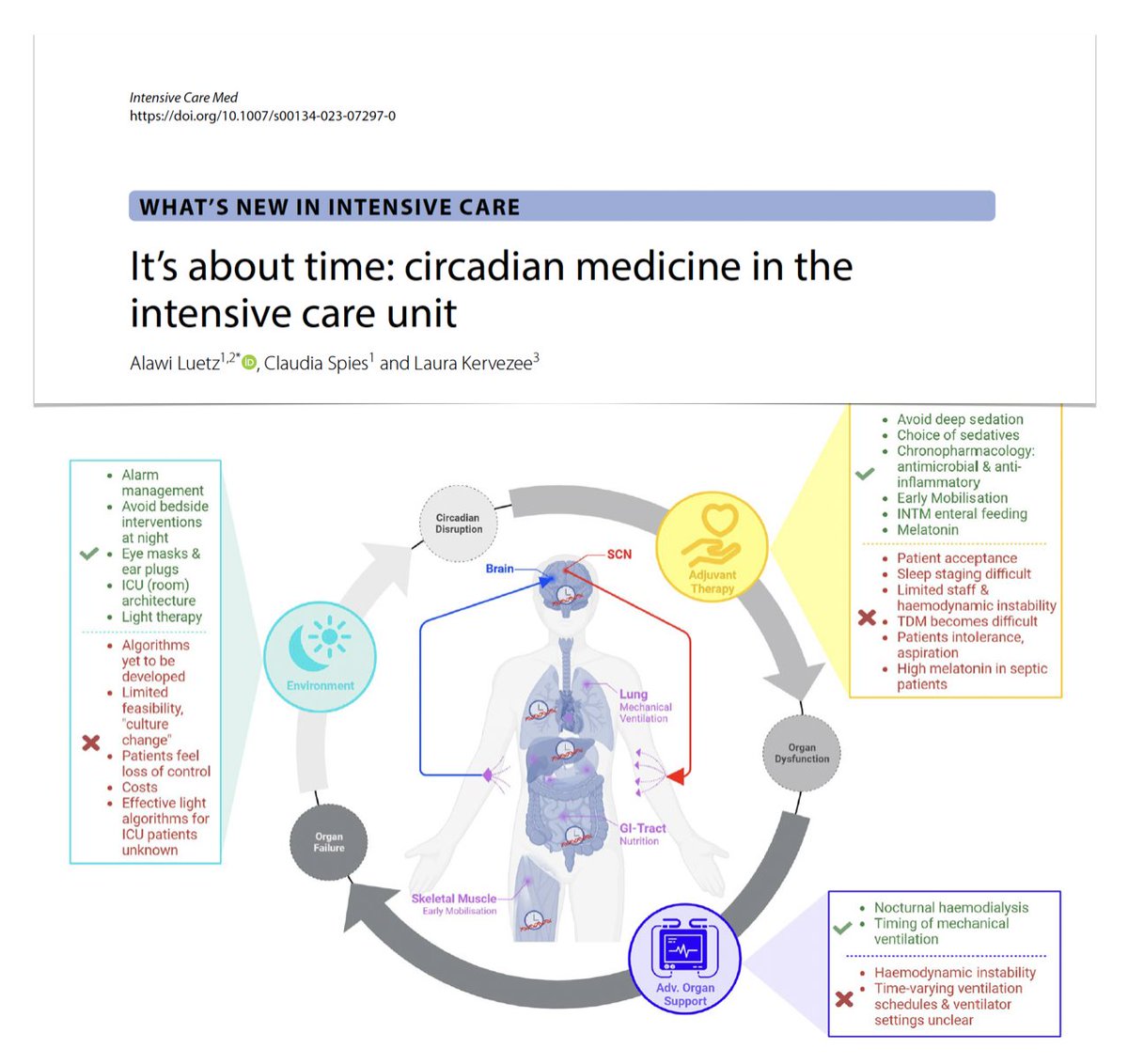 Circadian medicine in #ICU? The circadian nature of physiology has enormous untapped potential for research across intensive care medicine! ☀️ circadian disruption in critical patients 🌘 opportunities for circadian interventions #FOAMcc on @yourICM 🔓 rdcu.be/due59