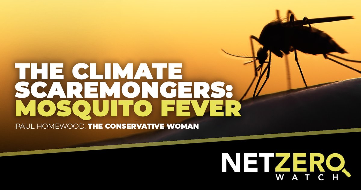According to a report from the UK Health Security Agency, dengue fever will soon become common in England. This is based on claims that we will shortly have the same climate as the south of France! #CostOfNetZero 👉 conservativewoman.co.uk/the-climate-sc…