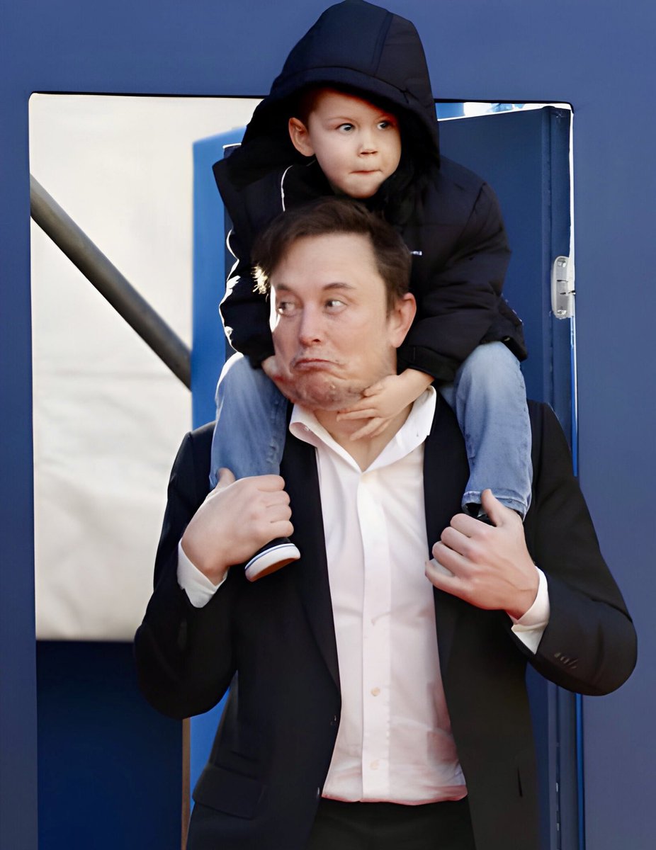 TeslaITS's tweet image. “Lil X is my emotional support human” @elonmusk