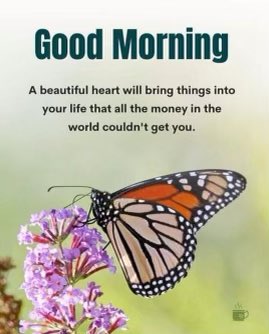 Good Morning beautiful hearts. Have a fantastic day filled with love ❤️ kindness ❤️ and joy ❣️