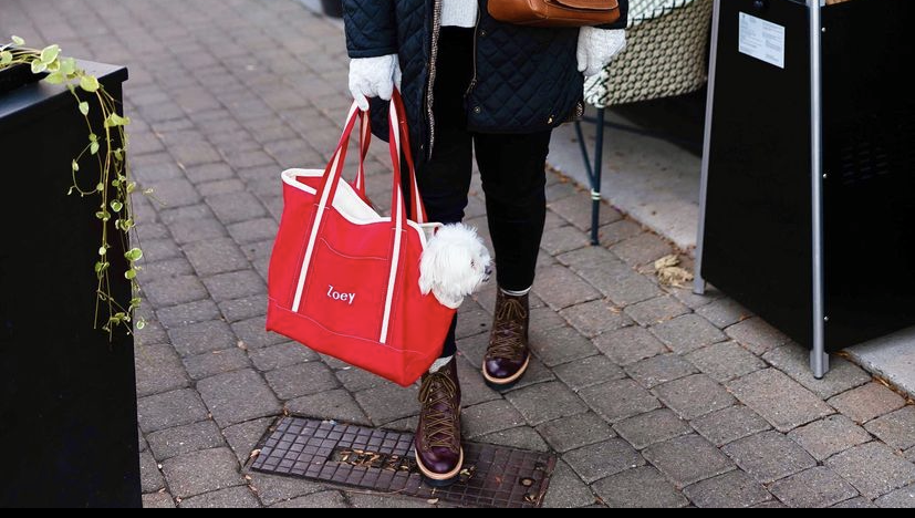 Take your best friend with you in our pet totes, personalized just for them. Thanks @kristynewengland for this great shot! #pettote #petcarrier #shorebags #sustainablebags #sustainableliving #doggies #dogcarrier shorebags.com/products/pet-t…