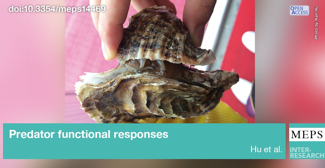 MEPS_IR's tweet image. Marine #Whelk #FeedingStrategies in coastal ecosystems show distinct patterns in relation to predator-prey body mass ratios and habitat complexity, reflecting a shift in feeding strategies from digestion-limited to handling-limited. #FeatureArticle
bit.ly/meps_725_1