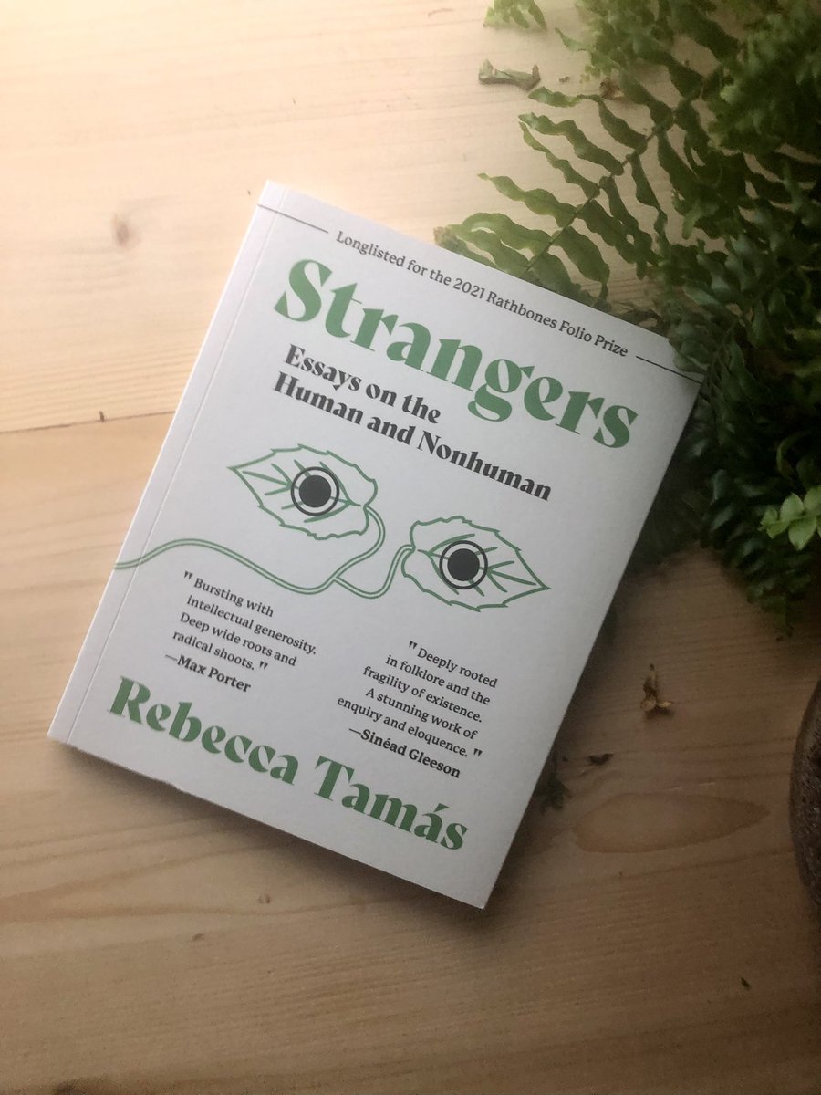 4. I haven’t read much non-fiction this year but Strangers by @RebTamas was the most revolutionary collection of writing I’ve read this year and a school of thought and heart I’m subscribing to 🧵