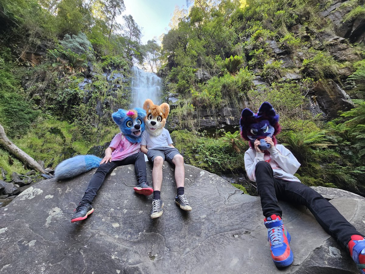 Happy #FursuitFriday 
Dogs love water!

🟠: <a href="/DoritoDustDog/">Dust</a> 
🟣: <a href="/Atlas_JAB/">AtlasJAB</a> 

📷: <a href="/_ShadowRK9/">ShadowRK9</a>