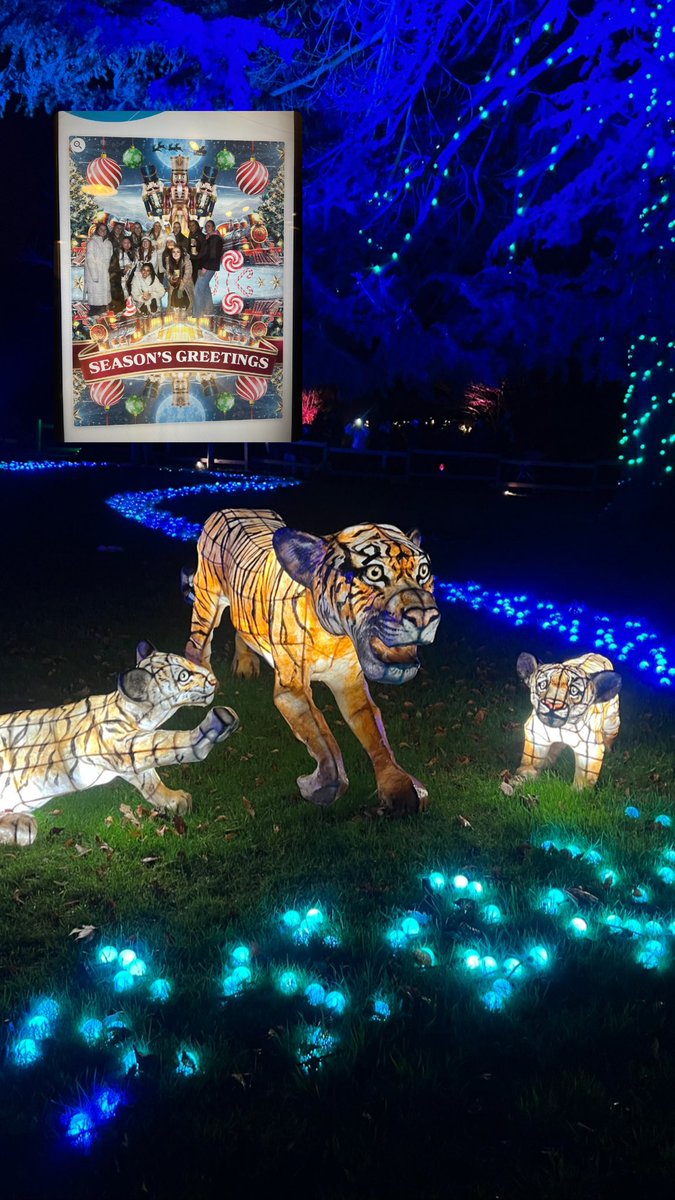 That’s a wrap - our last FFG event for 2023.

Great evening spent with the girls at the Chester Zoo Lanterns &amp; Light, saying Thank You for all their hard work this year and getting into the Christmas Spirit!! 🎄🎅

Bring on 2024, more networking, Elite Clubs and Promotions! ✅