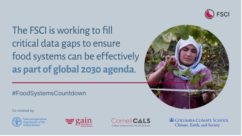 Researchers are central to monitoring our global food systems, ensuring alignment with the 2030 agenda for sustainable development.
#FSCI #ScienceInFood #2030Agenda #SustainableDevelopment #FoodSystemTransformation
foodcountdown.org/publications